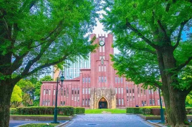探索留学之路申请日本大学别科的详细步骤